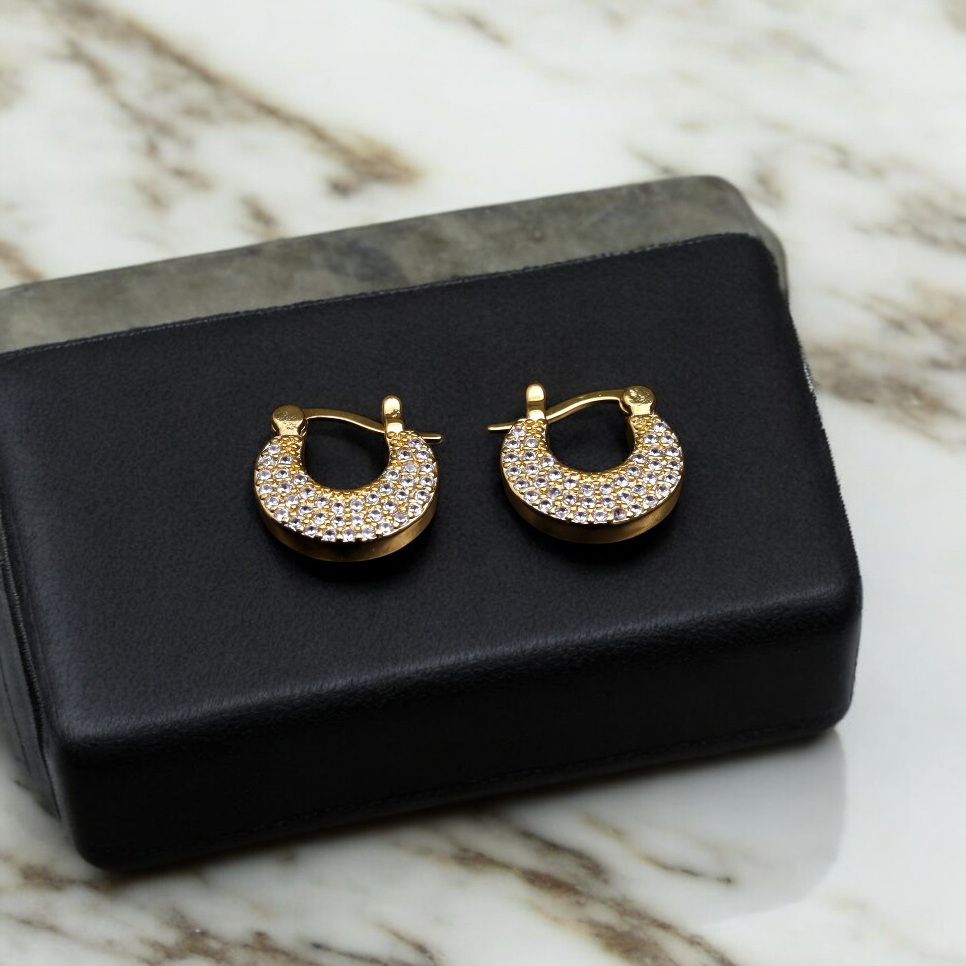 Lustrous Halo Earrings